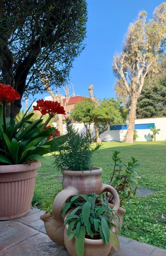 Casa Vacanze Costa Marina 프레제네 외부 사진